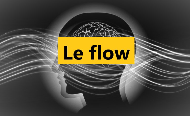 Le flow : à la recherche de l’expérience optimale